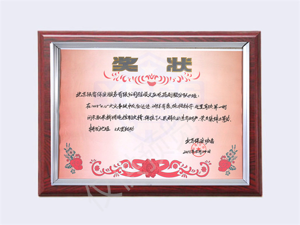 北京銀盾保安服務(wù)有限公司榮獲2018龍苑別墅分隊二班集體三等功