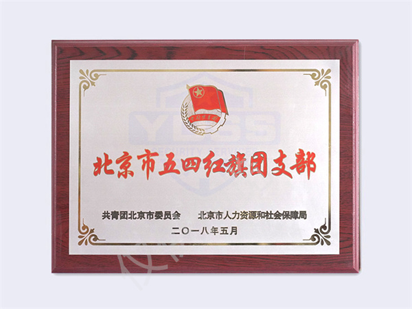 北京銀盾保安服務(wù)有限公司2018北京五四紅旗團(tuán)支部