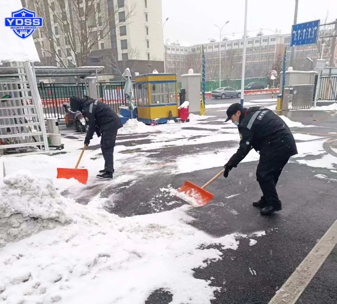 1703141004185475.jpg 640 (8).jpg