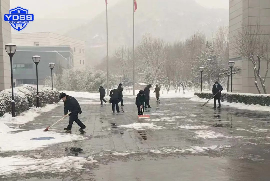 1703141018101380.jpg 640 (10).jpg